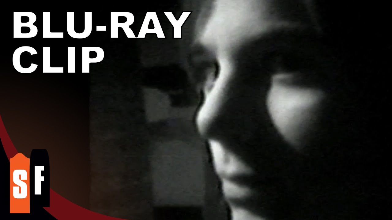 Larry Fessenden Collection (4/5) The Habit - Horror Movie