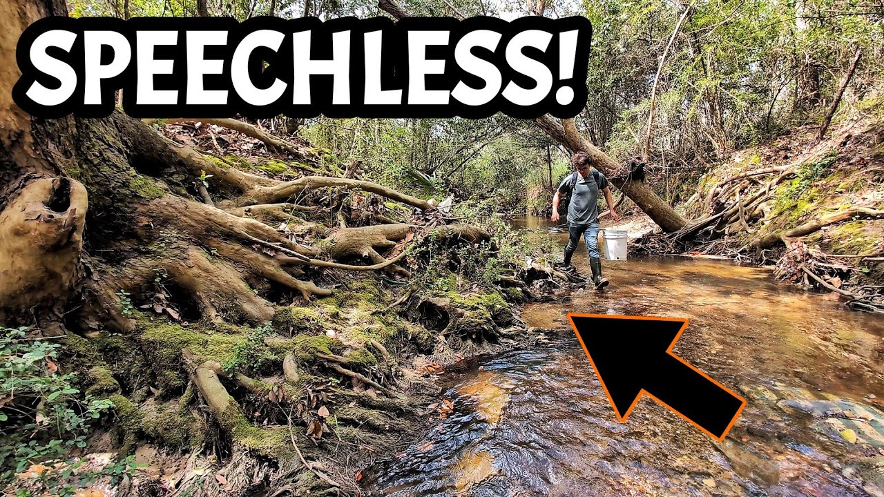 I Never Thought I'd Find One Here... Ancient Spearhead Discovered in Georgia Creek!
