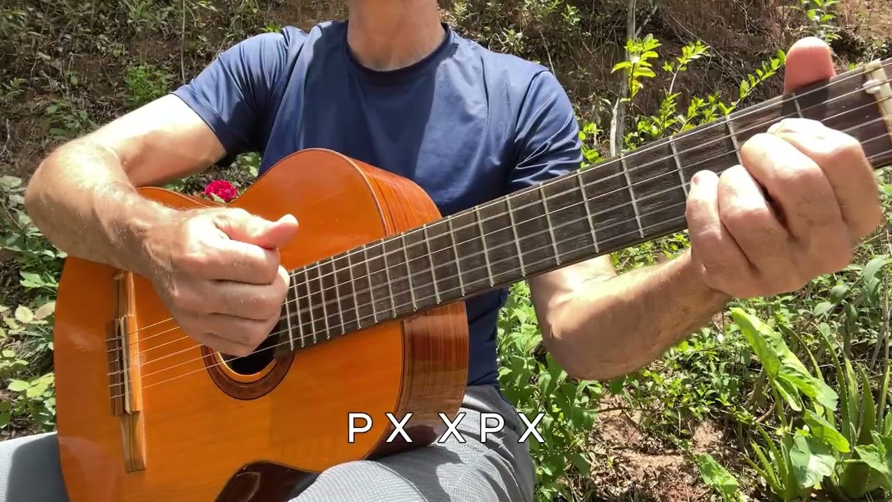 ASA BRANCA NO VIOLÃO | TUTORIAL COM PASSO A PASSO SIMPLES PARA INICIANTES