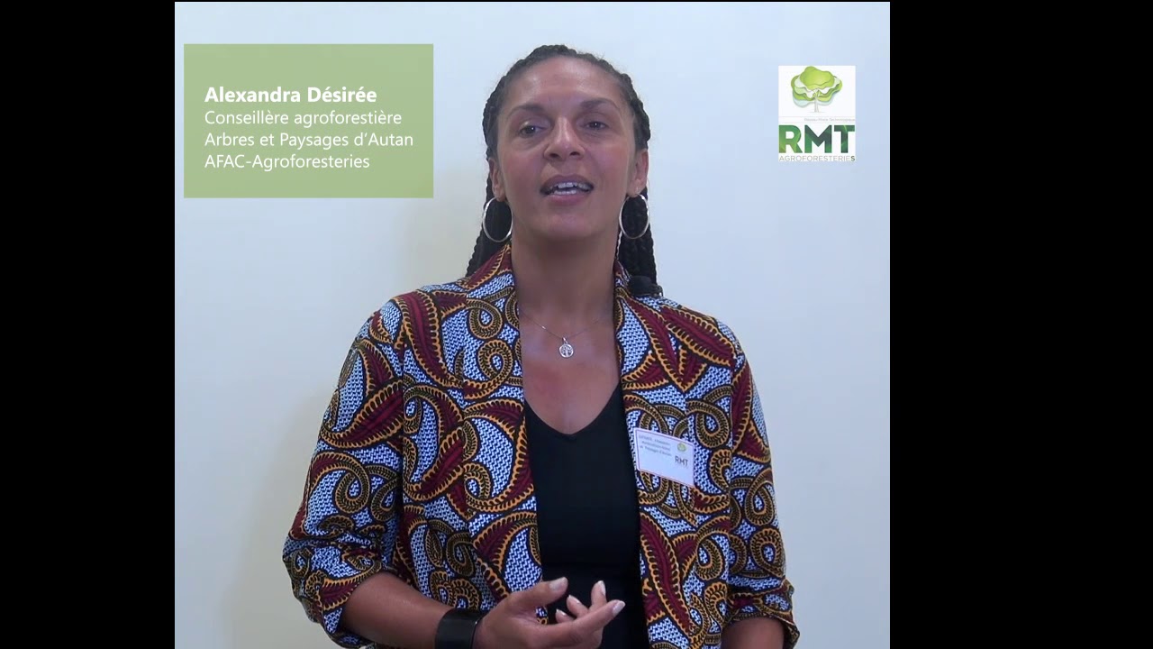 Agroforesteries : motivations des agriculteurs