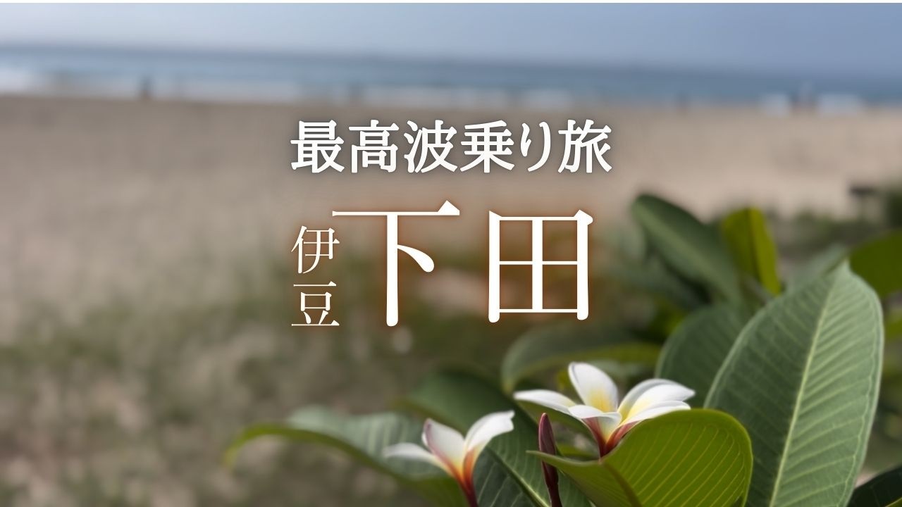 めっちゃ最高サーフトリップ‼️絶景温泉に美味い飯、波はまぁ....。