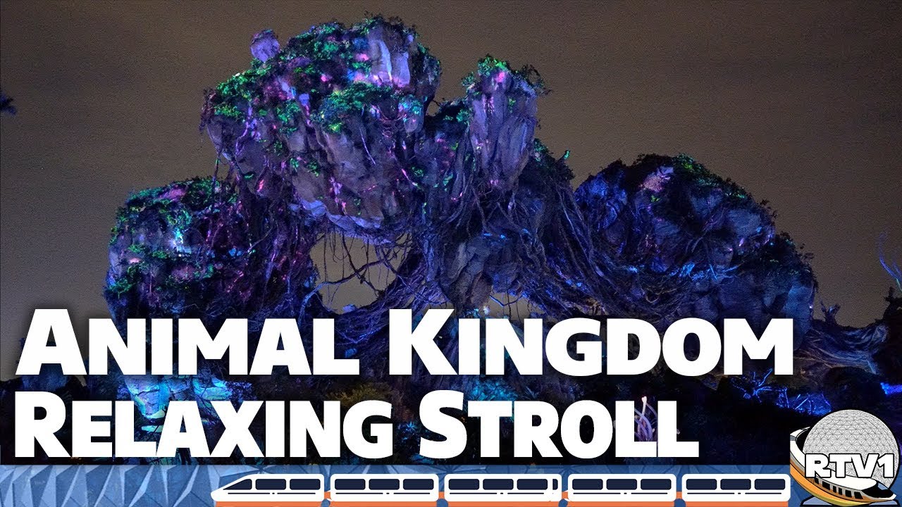 Disney's Animal Kingdom - Nearly Empty Park - Pandora to Exit Relaxing Stroll - 4K Low Light
