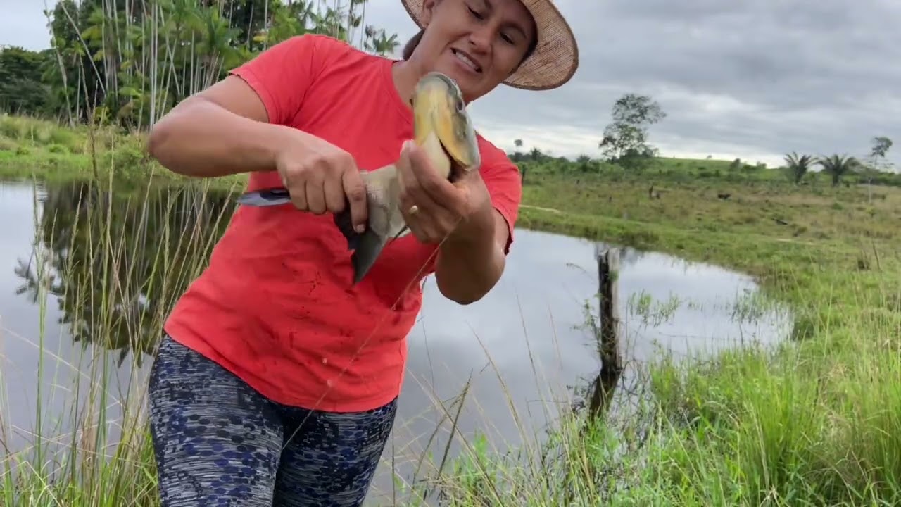 Pescaria impressionante no lago do pasto das vacas muito peixe #peixe 