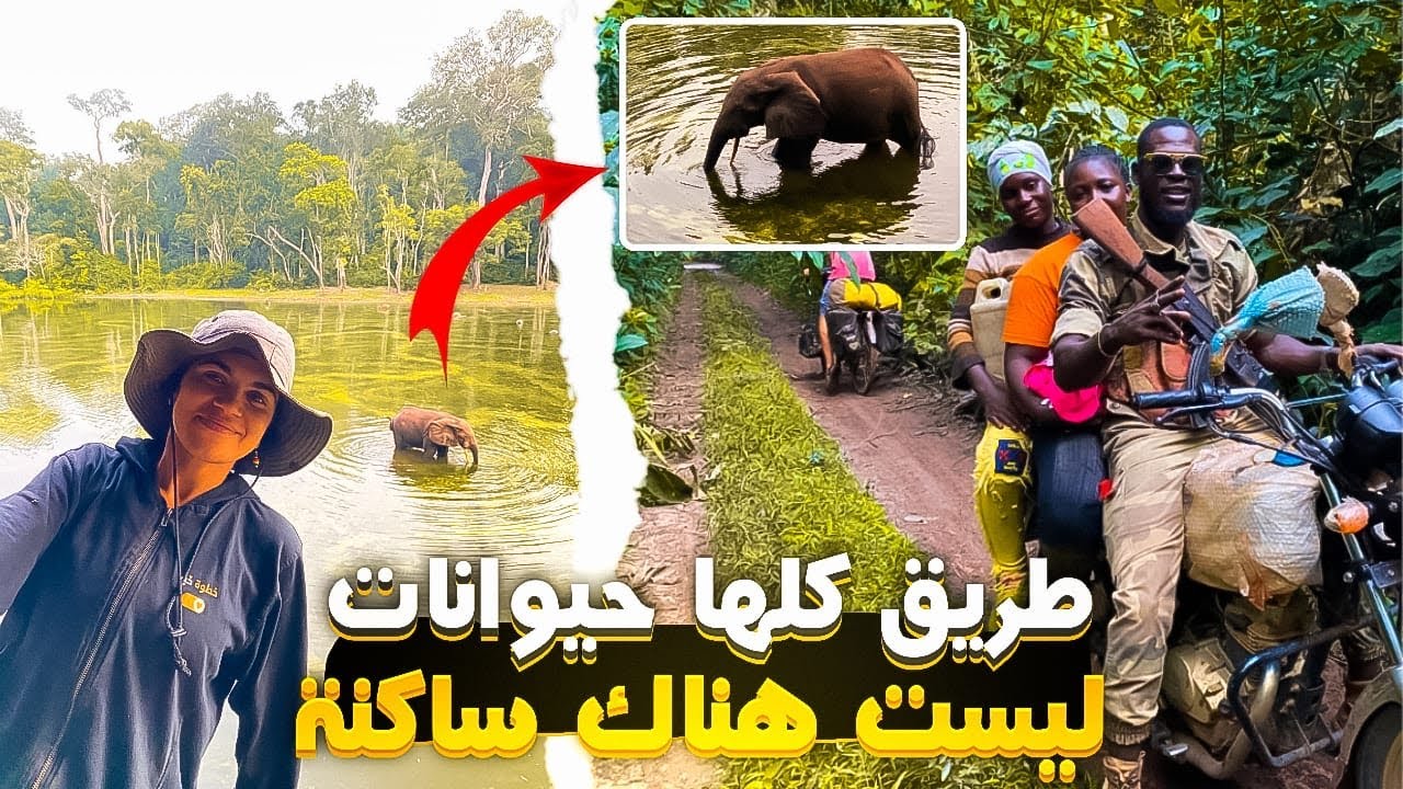 #65 الكاميرون اخترنا طريق طويلة فيها حيوانات وسط الغابة 🇨🇲🇲🇦