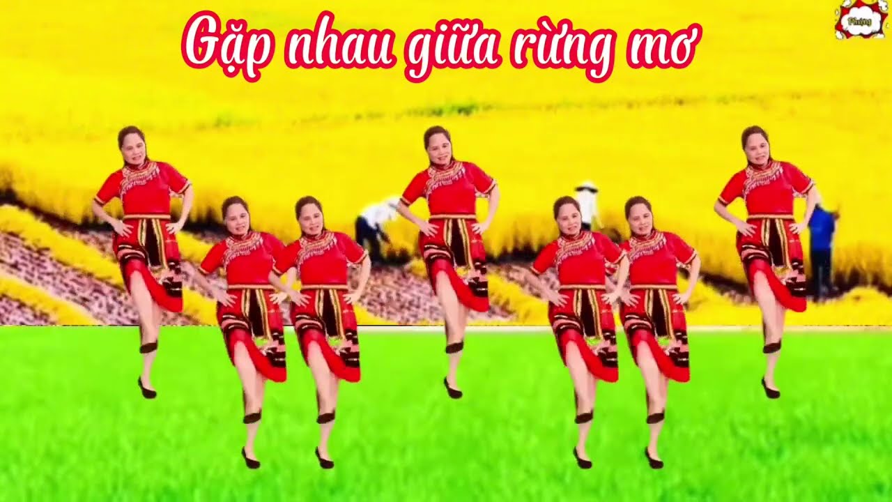 Gặp nhau giữa rừng mơ/ Bản nhạc  có lời( PB2)