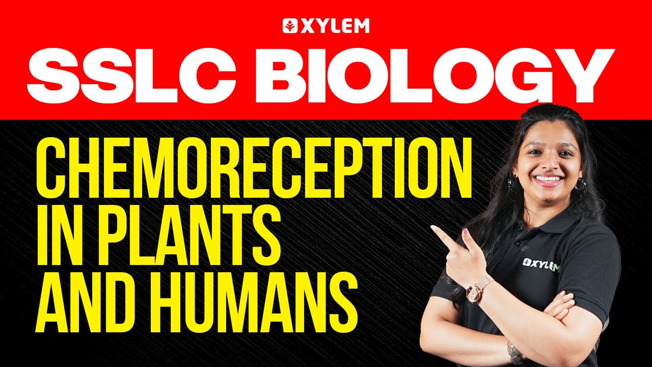 SSLC Biology | Chemoreception in Plants and Humans | Xylem SSLC