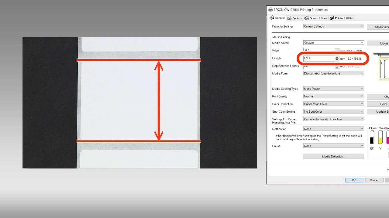 How to Set Up the Printer Driver (CW-C4000 Series)