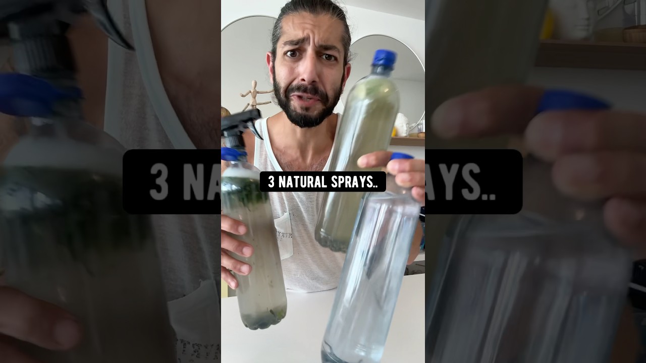 3 DIY Bug sprays that&rsquo;ll save your plants! creative explained