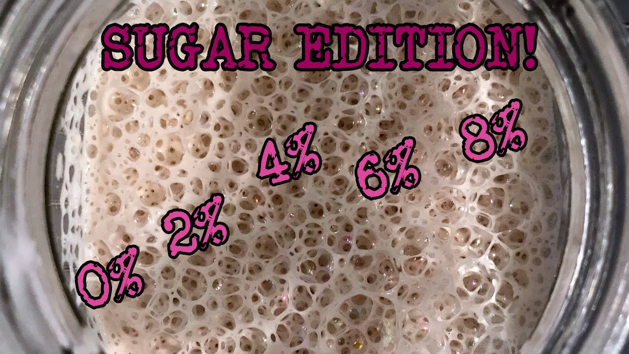 How does sugar affect the growth in dough? | Sourdough Starter Timelapse | Foodgeek