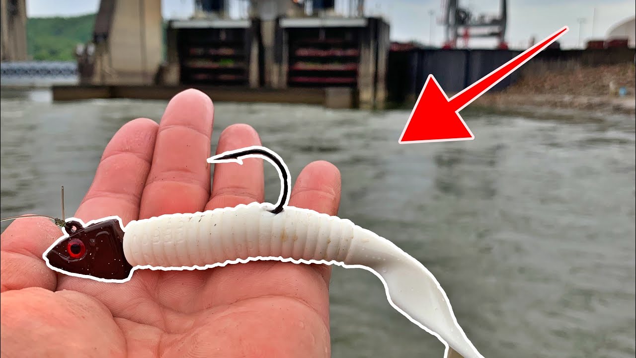 Using GIANT BAITS for SPILLWAY MONSTERS!! (Hybrid Striped Bass Fishing)