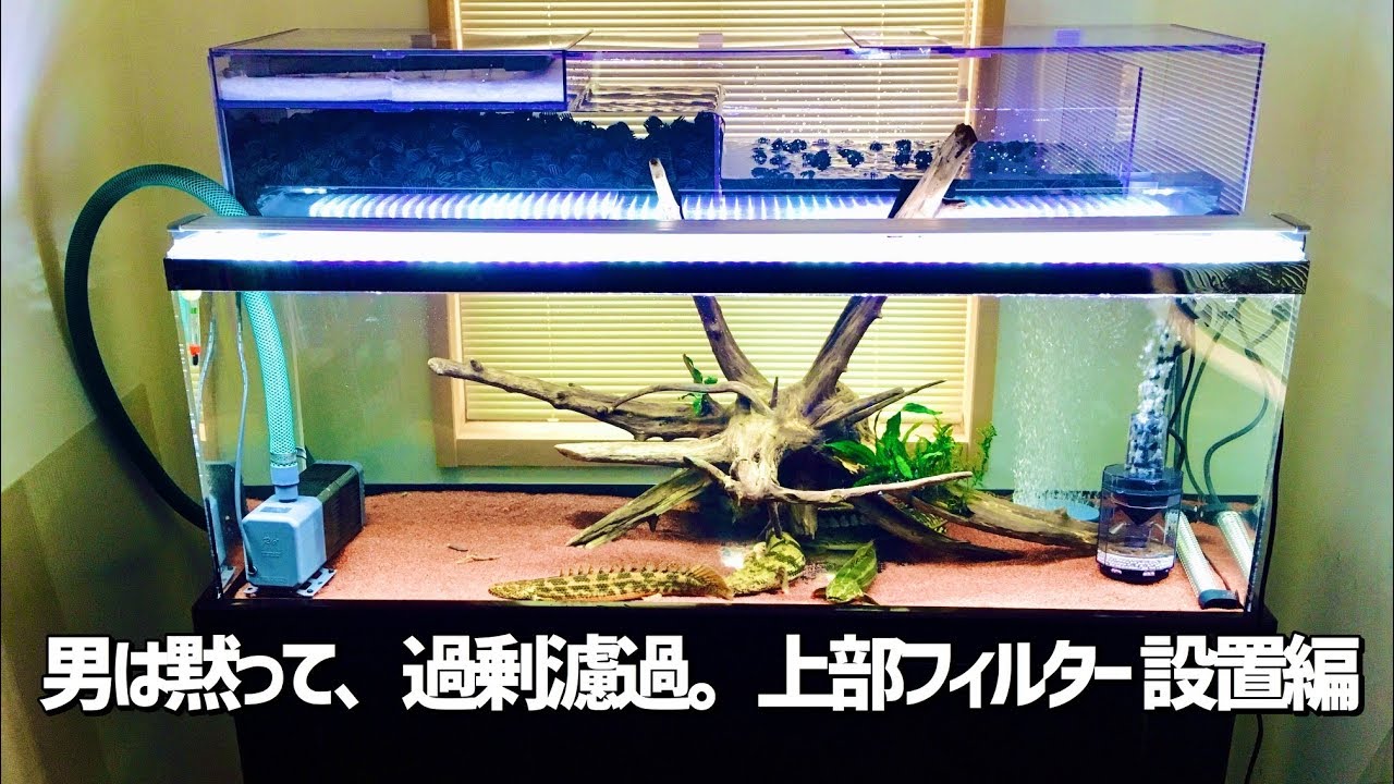 男は黙って、過剰濾過。上部フィルター 設置編