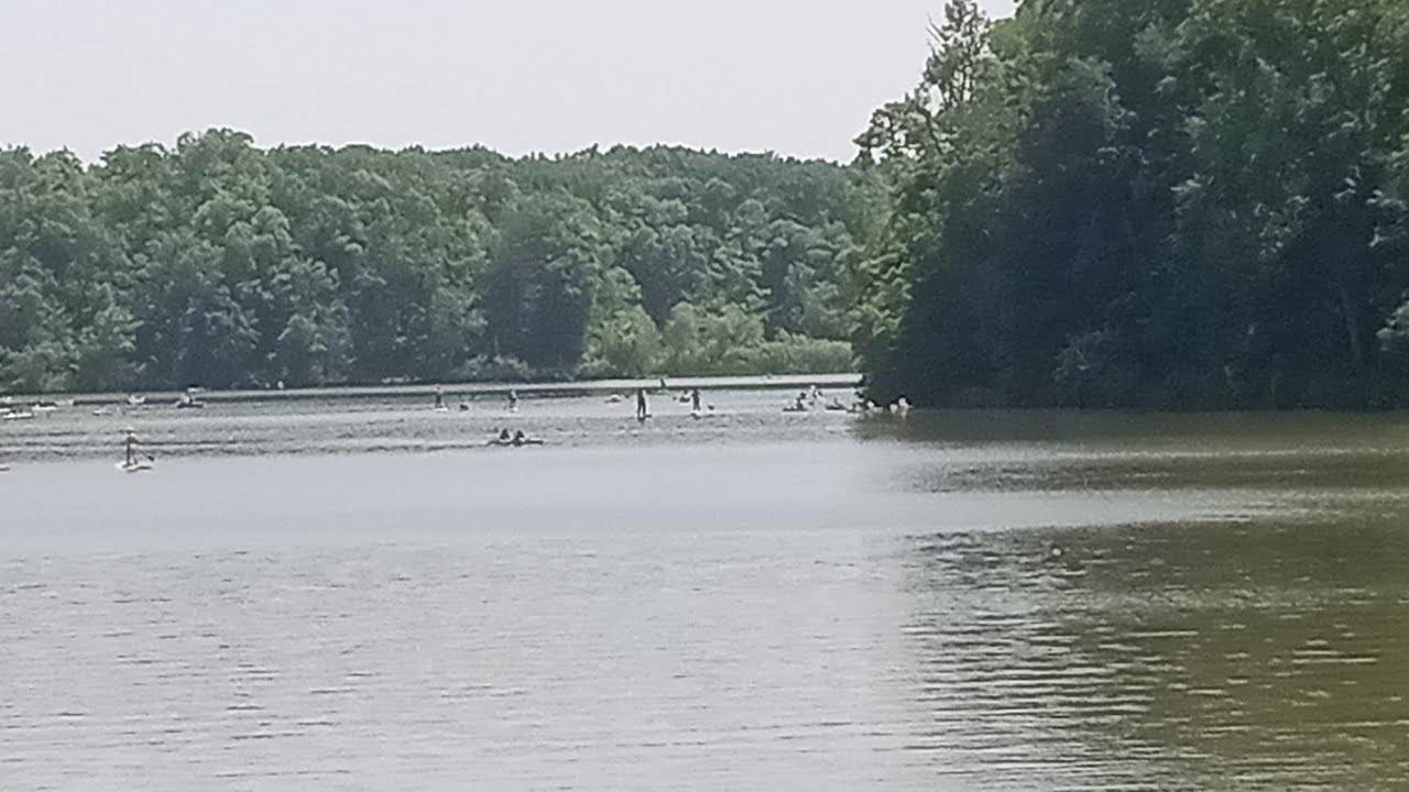 I Found the Perfect Seat At Hinckley Reservation