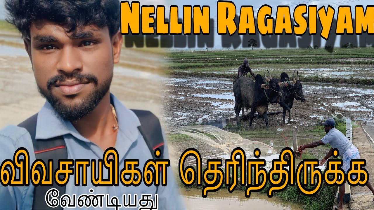 நெல் எரிவதா? காரணம் இதுதான்!🌾 நெல் காப்பா மிக எளிய டிப்ஸ்! 😊| Urvinoth #subscribers 