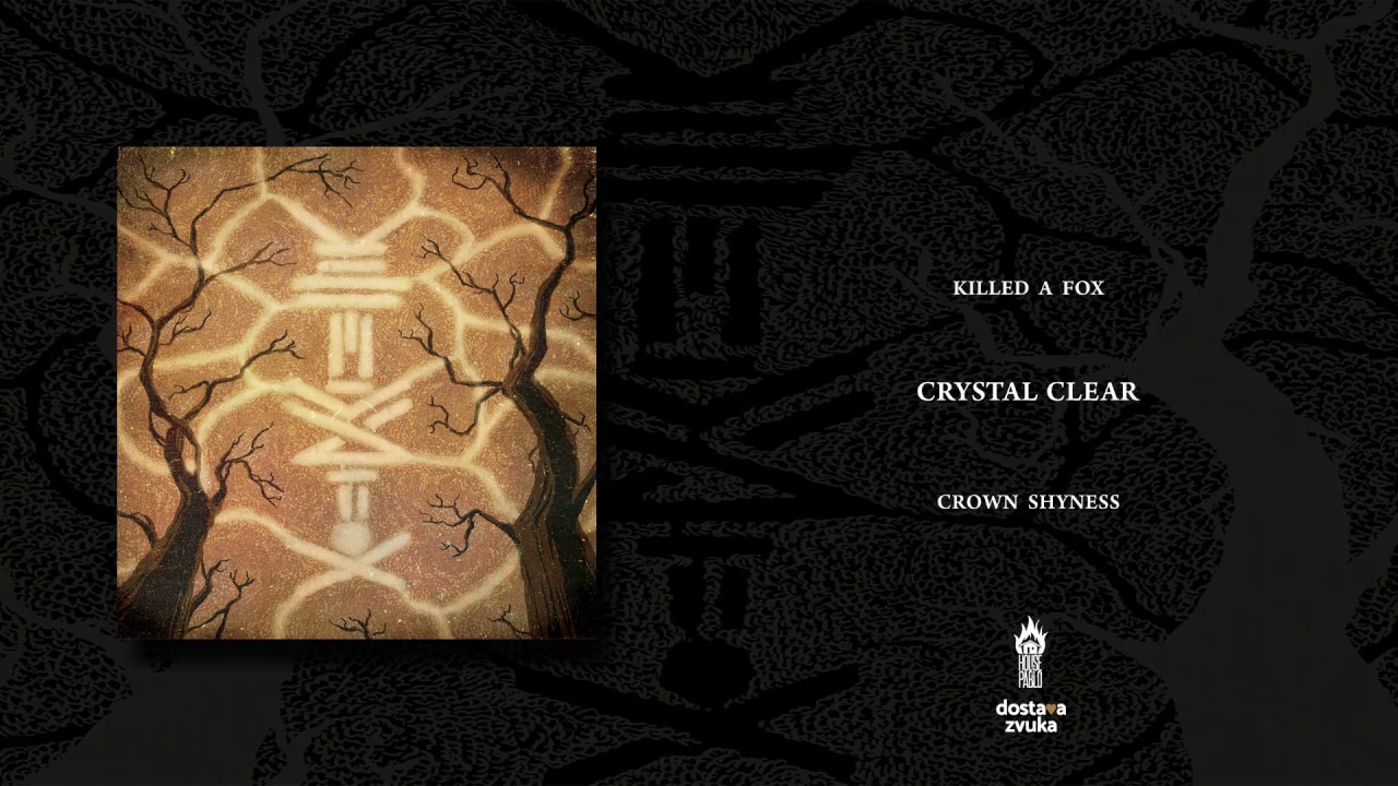 Killed A Fox - Crystal Clear