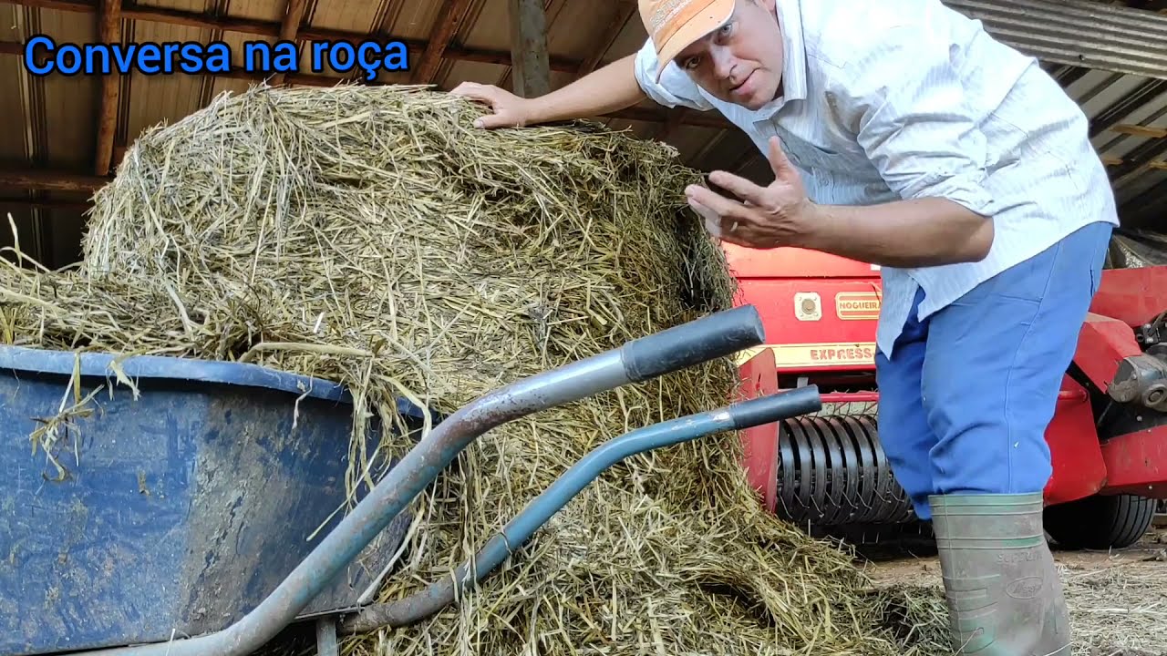 PRÉ SECADO