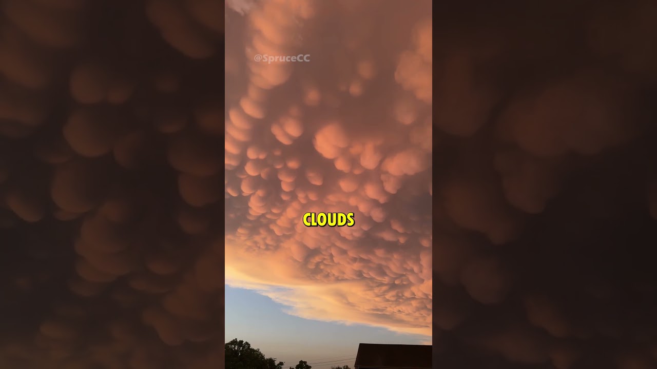 Dope Clouds at Sunset🫧@taradaviswoodhall