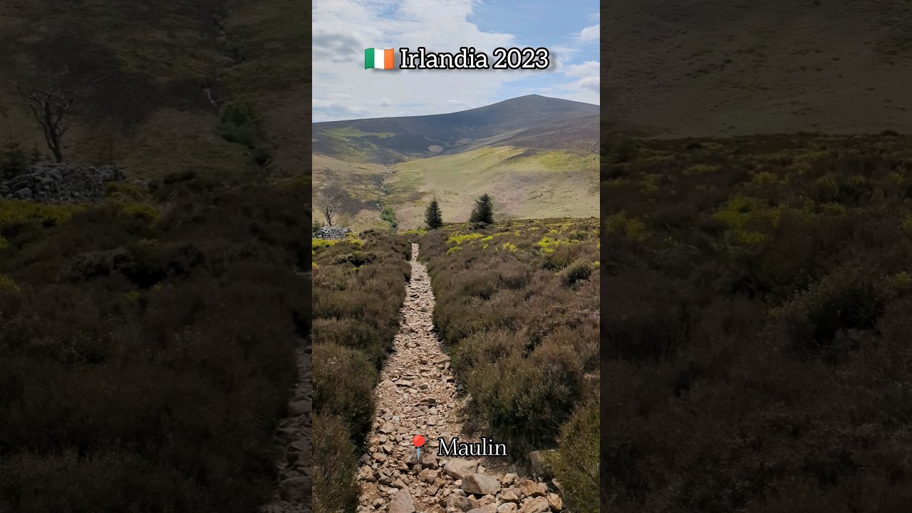 Dwa tygodnie w Irlandii 