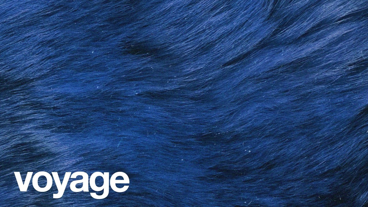 (FREE) | 