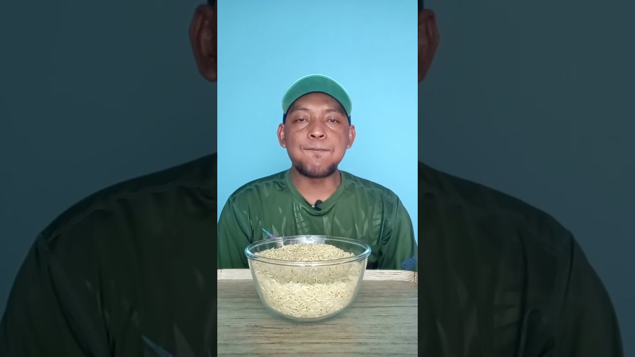 ASMR RAW RICE EATING || MAKAN BERAS MENTAH SUAPAN COCOR#asmr#raw#rice#eating#mukbang