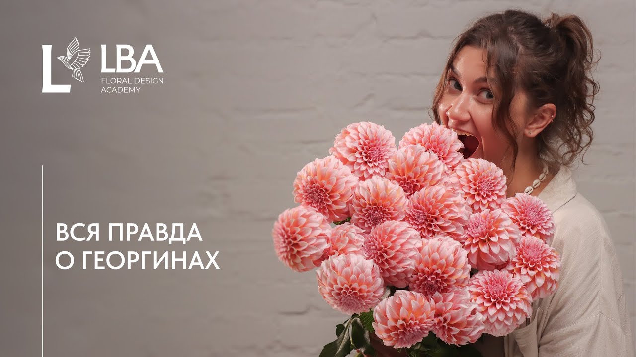 ГЕОРГИНЫ ДЛЯ ФЛОРИСТА | УХОД И ХРАНЕНИЕ | СОВЕТЫ LBA