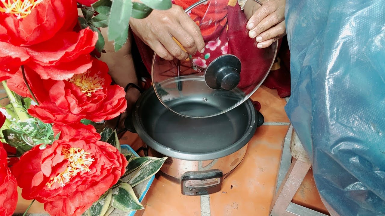 SAYA Membeli Pot Tanaman Beras Listrik