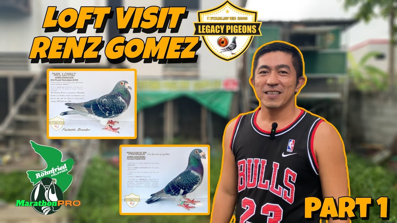 LOFT VISIT SA ISANG VETERAN FANCIER SA PAMPANGA AT OWNER NANG MARATHON PRO | LEGACY LOYAL BLOODLINE
