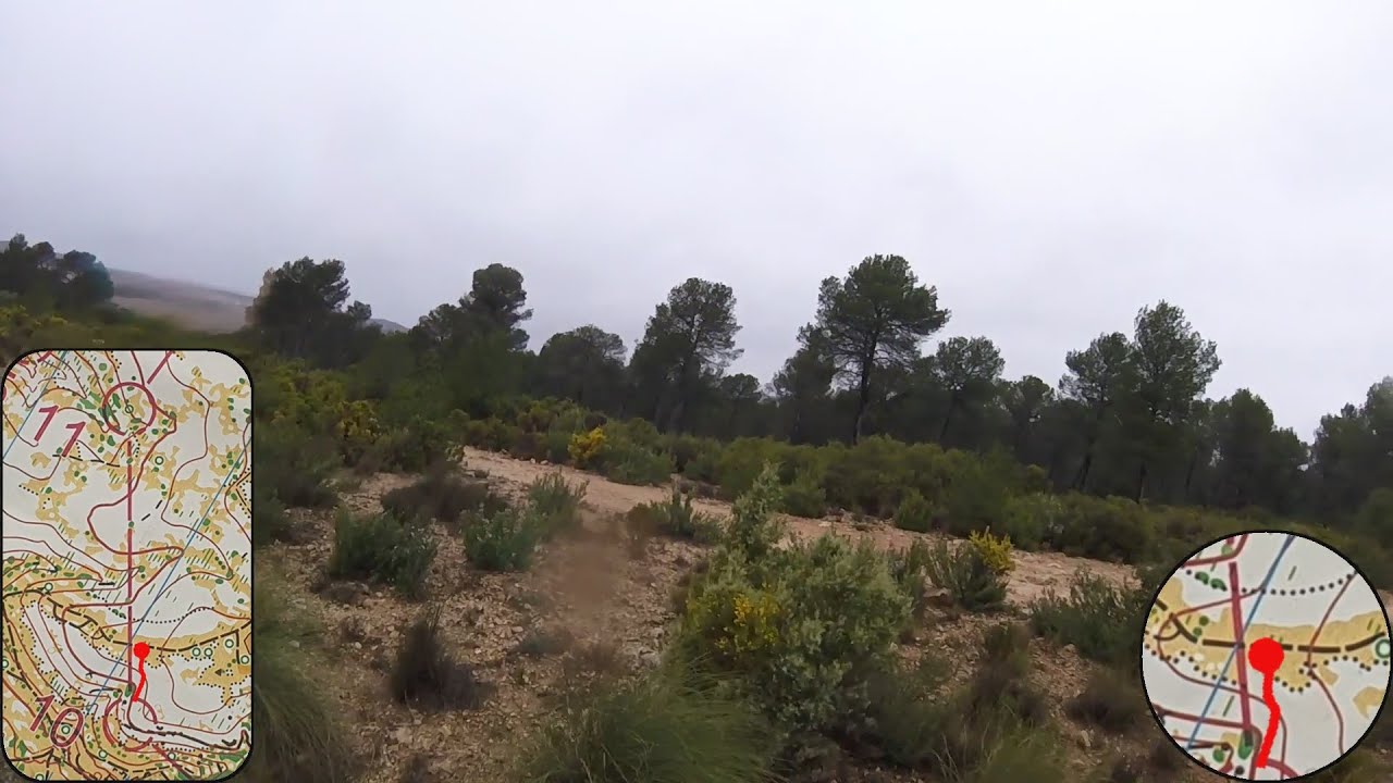 XIII PREMI-O Middle - Valencia