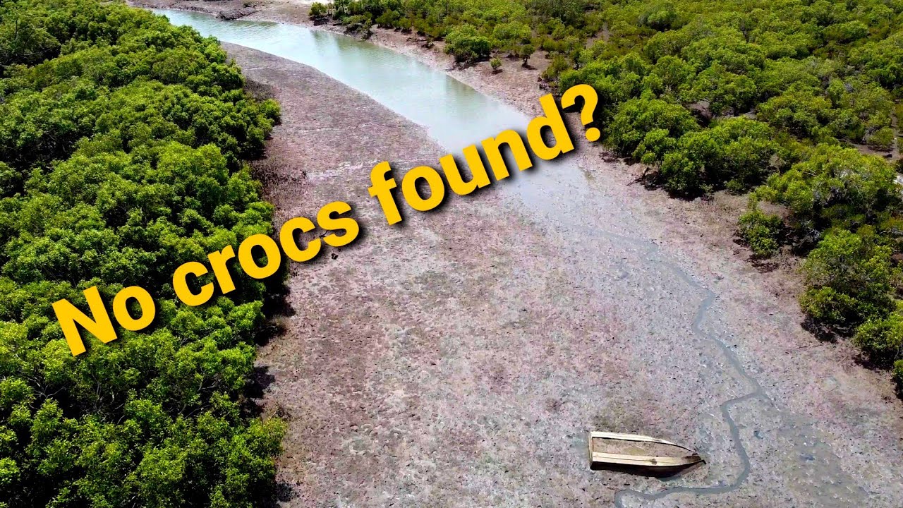 A little drone footage of Eli Creek - Hervey Bay, QLD