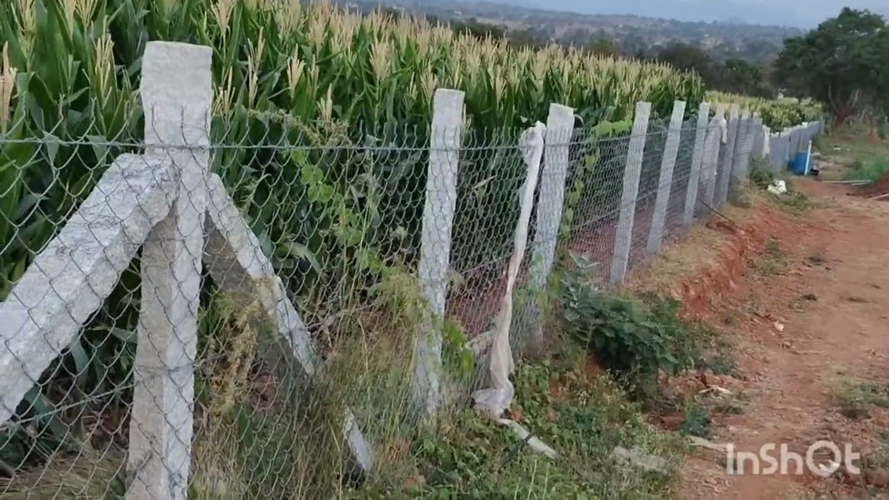 N p properties 3 acre  pure red soil  36 lakhs per acre  6360446978 general property bore well  2