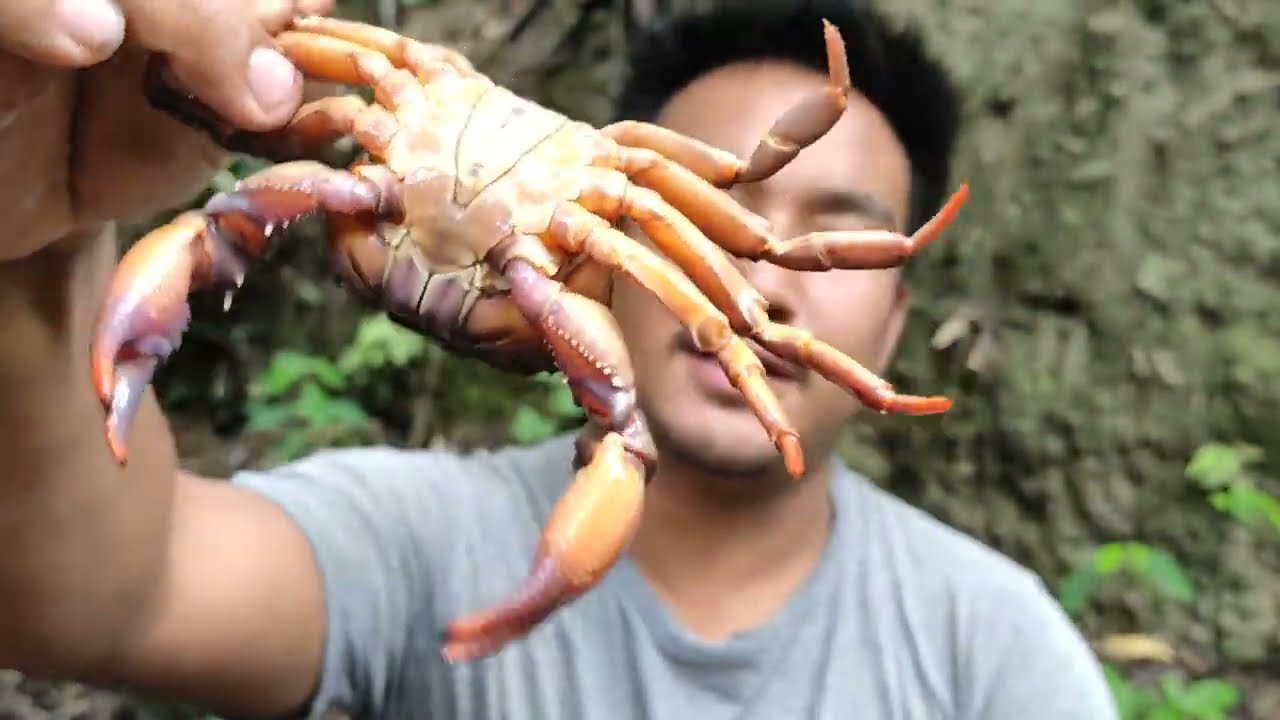 How to prepare and eat a delicious local crab curry || naga mukbang.