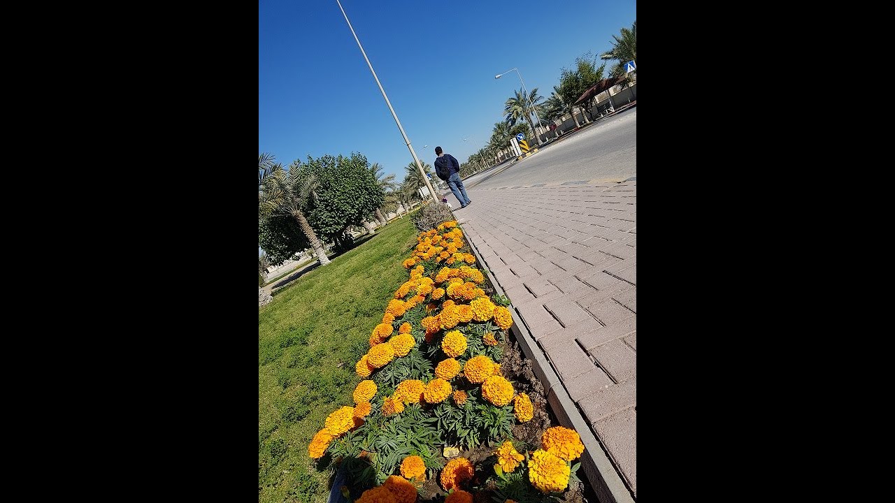 WALKTHROUGH, AWALI BAHRAIN