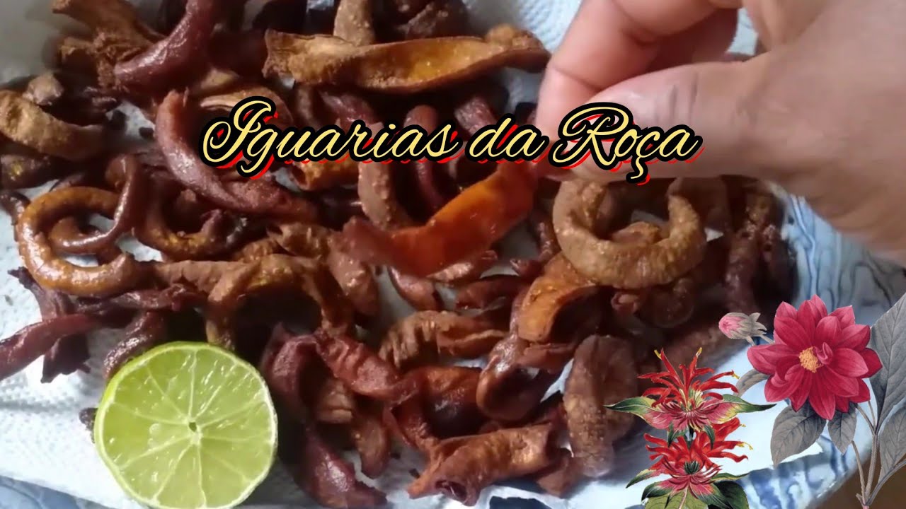IGUARIA DA ROÇA / Tripa Frita super Crocante
