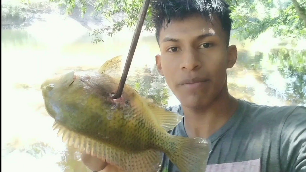 Avistamiento de Tilapias ,  capturas de Roncadores y Sabalos ..Gran Dia de Pesca ...  Parte 1