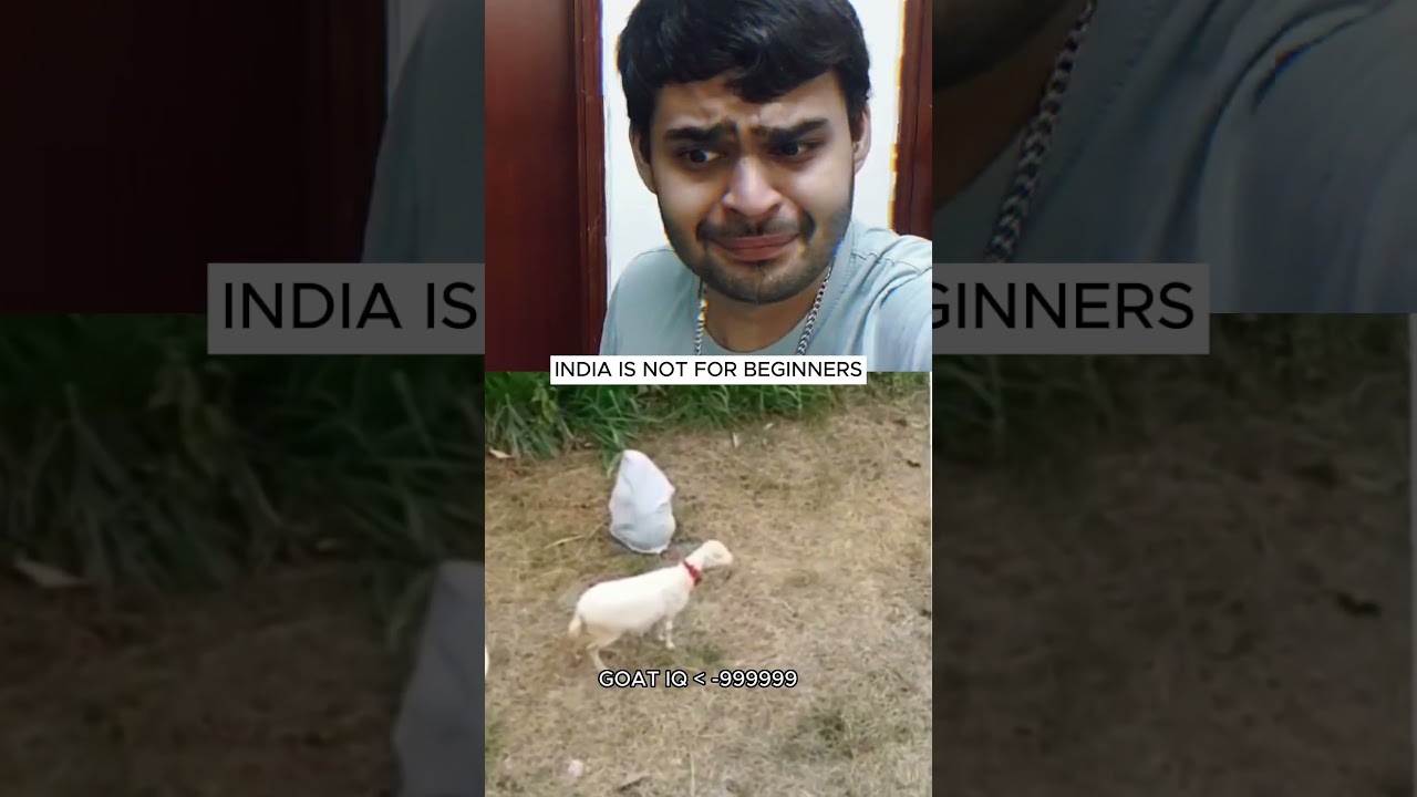 If You Laugh You Lose | Dank meme review | India is not for Beginners 8 #funny #viral #shorts