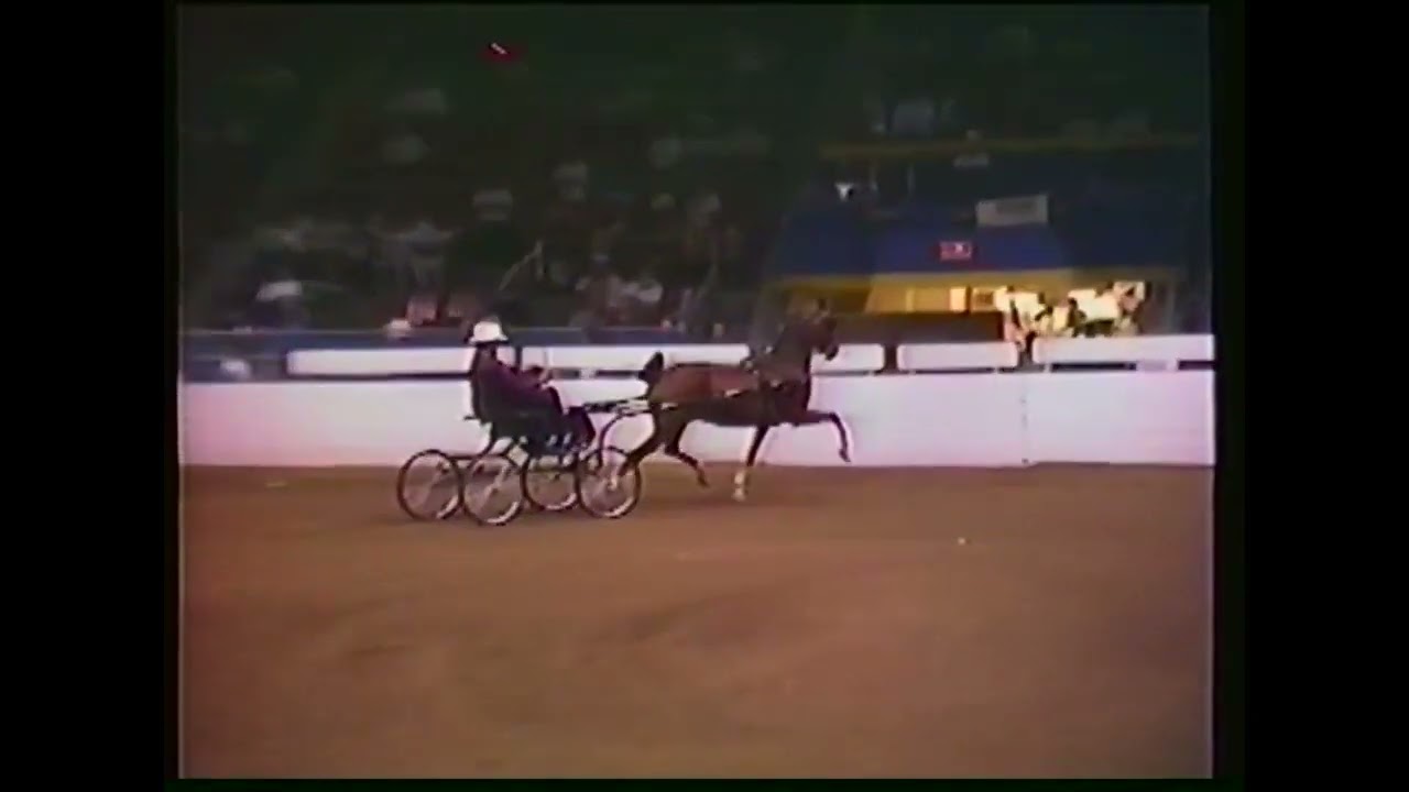 1990 Canadian National Exhibition. The Flying Doctor Haven's Music Man & Stonehedge Carousel