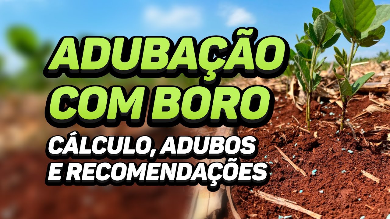 ADUBAÇÃO COM BORO - CÁLCULO, ADUBOS E RECOMENDAÇÕES