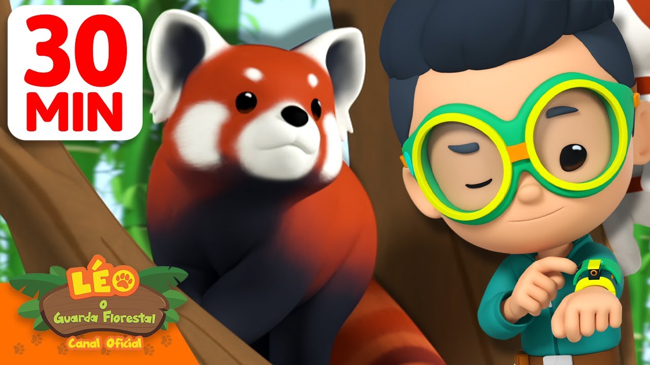 Capturando o cheiro do panda-vermelho! 🐼🦝 | Leo, O Guarda Florestal | Animação