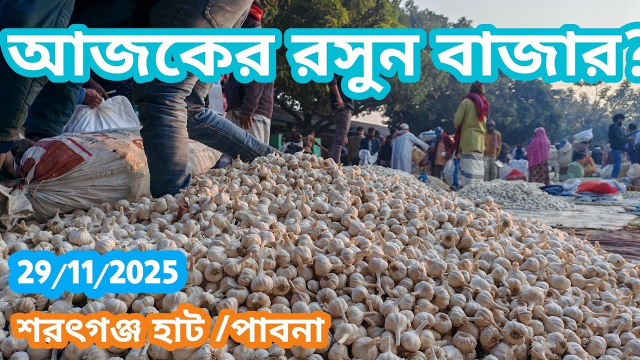 29 November 2025 আজকের রসুনের বাজার দর। Garlic market price rate today. রসুনের হাট বাজার দর 
