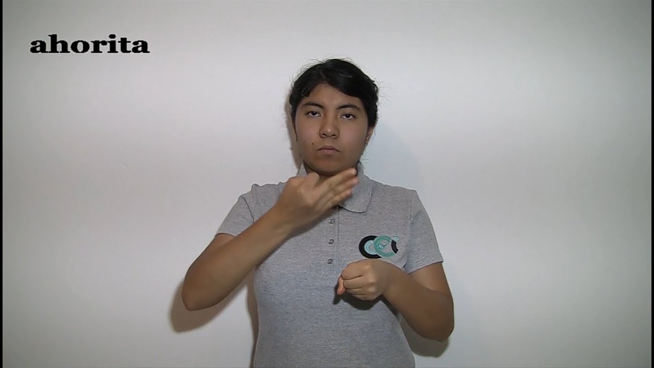 Tiempo LSM CCEI