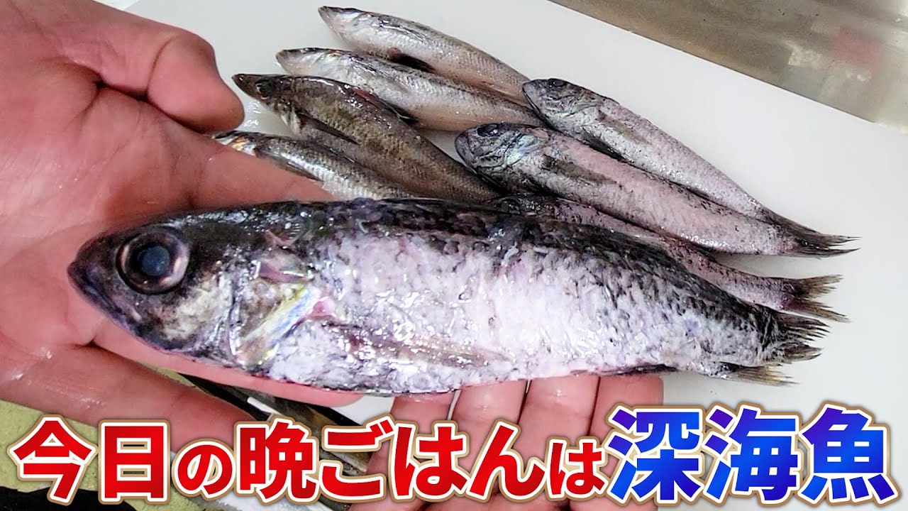 【深海魚】トモメヒカリ×スミクイウオを料理した結果…