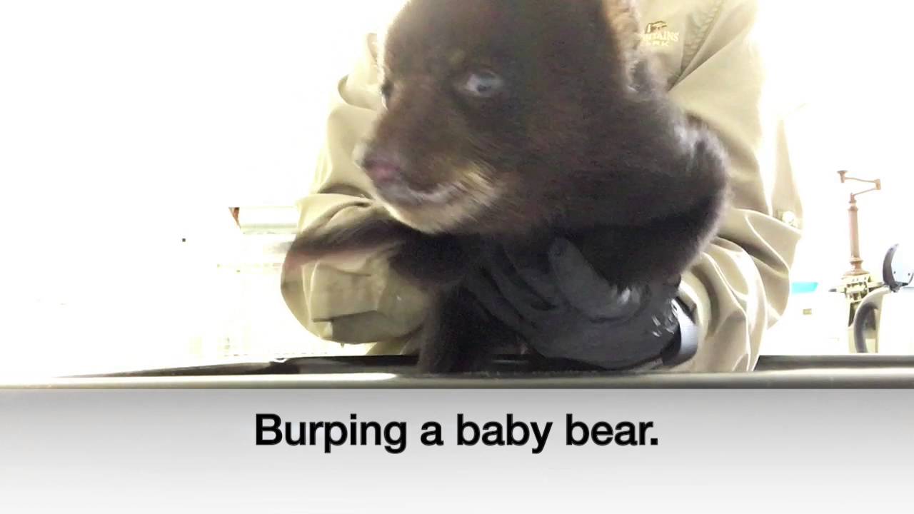 Feeding Finnegan Bear March 22, 2016