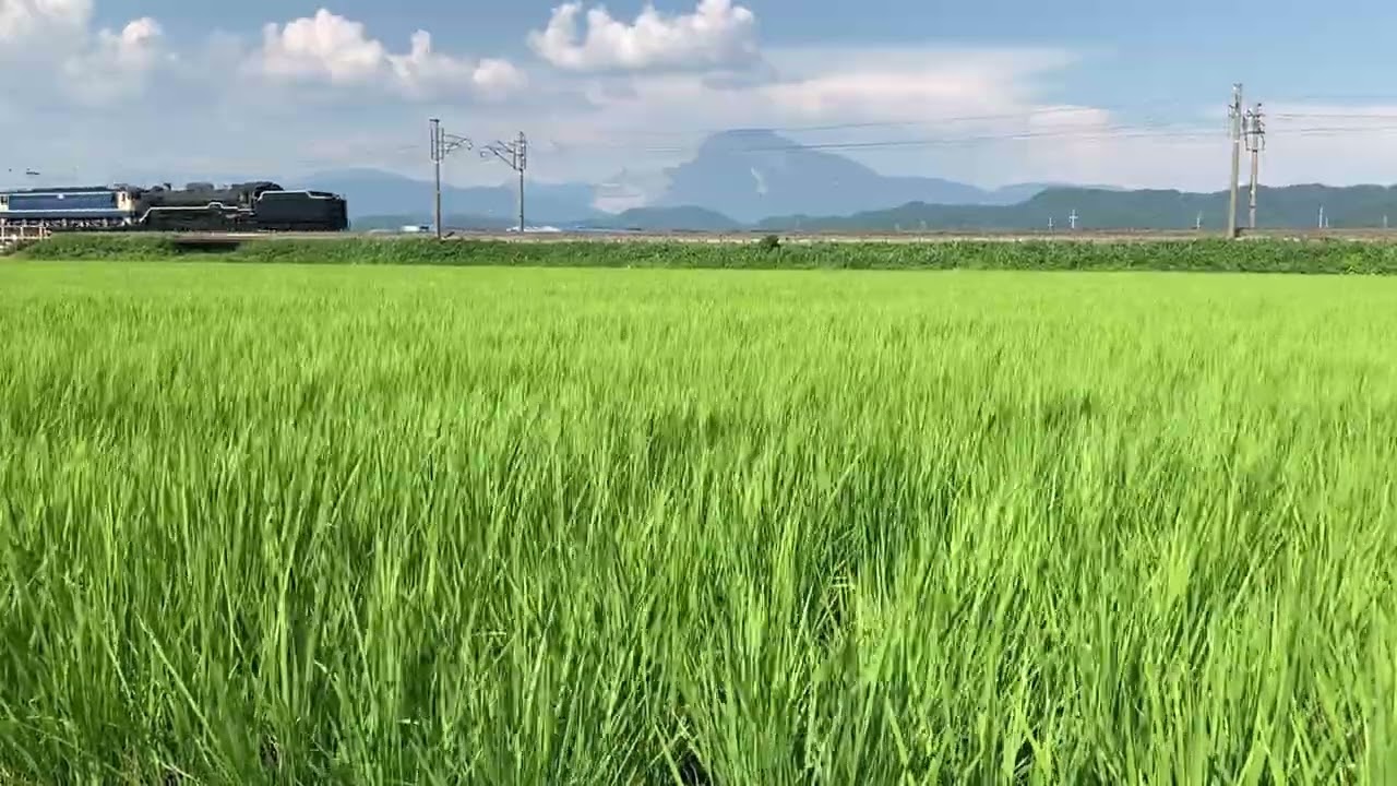 2023/7/28 SL北陸本線試運転