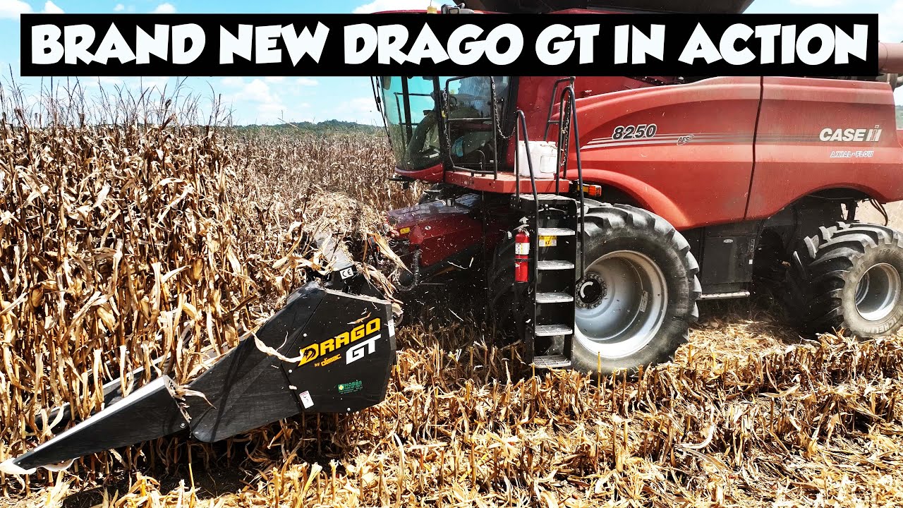 ALABAMA CORN HARVEST 2025 IS ROLLING AGAIN