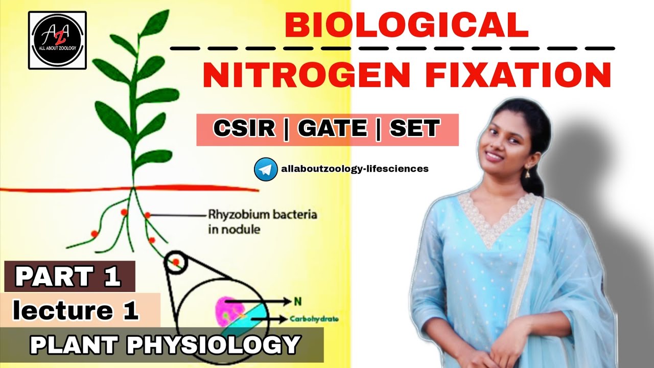 BIOLOGICAL NITROGEN FIXATION PART-1 : INTRODUCTION || PLANT PHYSIOLOGY || CSIR-NET LIFECSIENCES 
