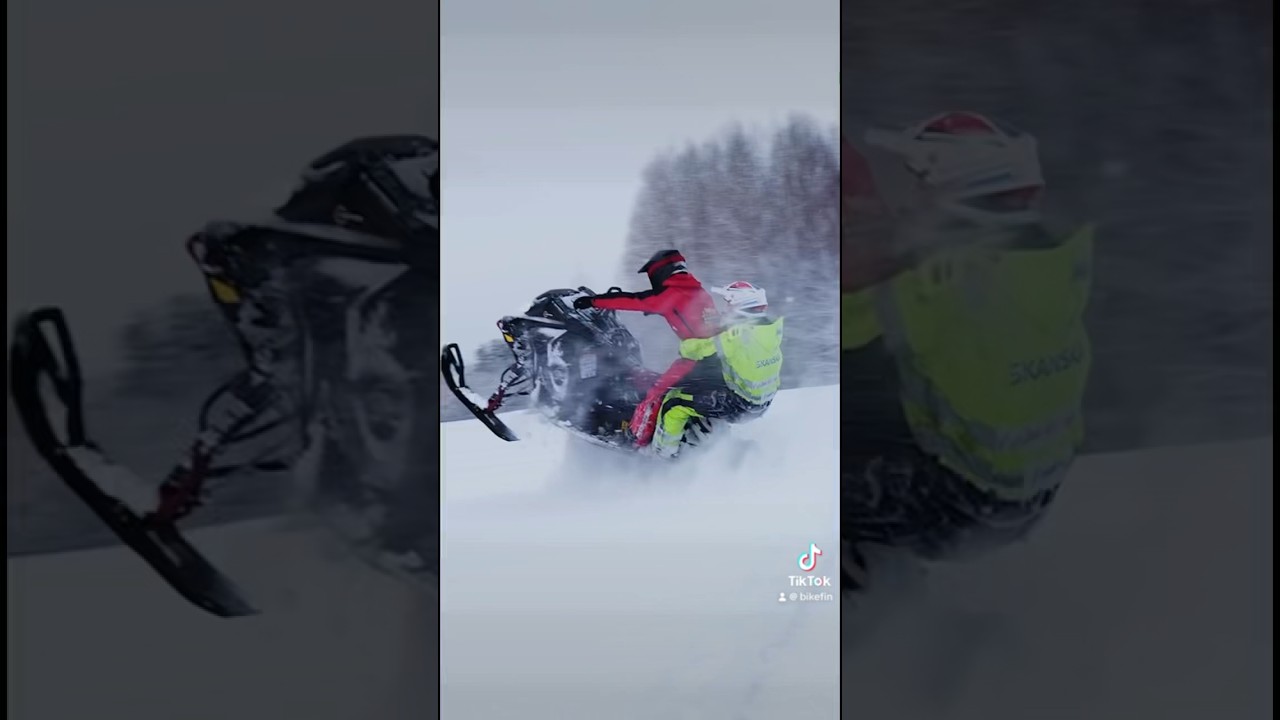 H&auml;rski&auml; hommaa😂