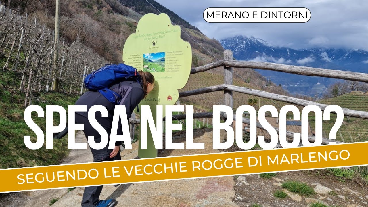 I prodotti dei MASI in vendita direttamente nei boschi di MERANO - Sentiero delle ROGGE 🌲🌸
