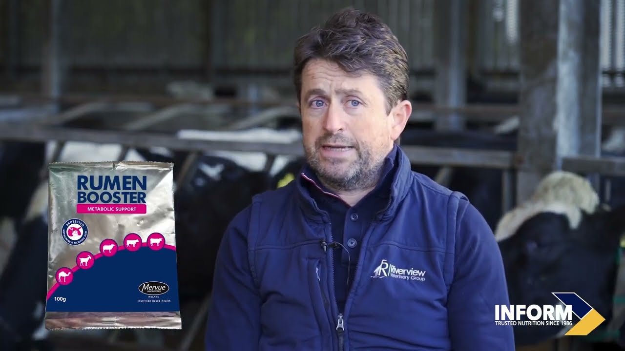 The Vet's View Part 03 - Supporting the Cow after calving with Michael Sexton MVB MVM MRCVS