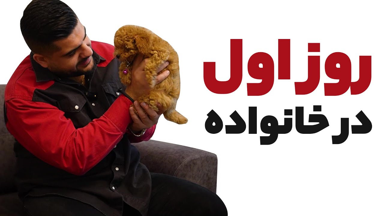 نکات اولیه نگهداری از سگ های خونگی | ولاگ نگهداری از کوکی
