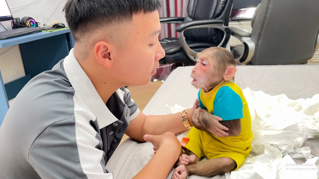 Super funny cute! Monkey Cubis punished by Dad for destroy toilet paper!