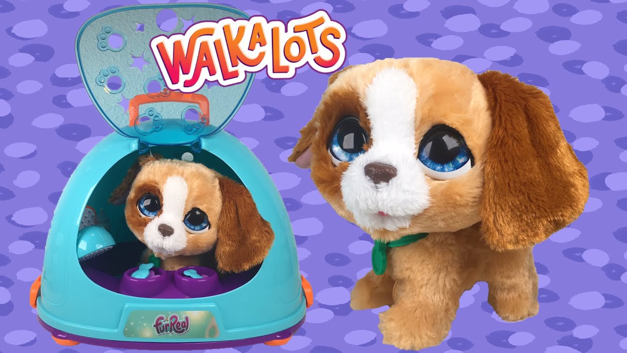 FurReal walkalots & grooming Salon * hondjes uitlaten en verzorgen!